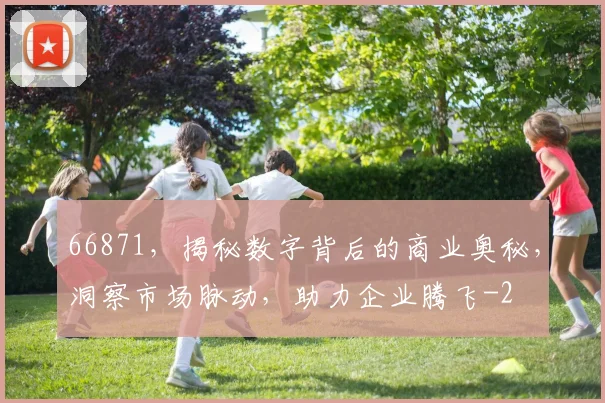 66871，揭秘数字背后的商业奥秘，洞察市场脉动，助力企业腾飞
