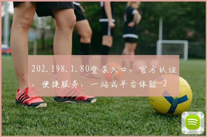 202.198.1.80登录入口，官方认证，便捷服务，一站式平台体验