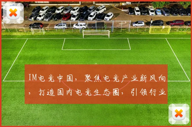 IM电竞中国，聚焦电竞产业新风向，打造国内电竞生态圈，引领行业发展新潮流，助力电竞产业腾飞